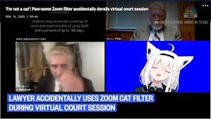 Yesterday, rod was just a normal attorney from texas. Lawyer Accidentally Uses Zoom Cat Filter During Virtual Court Session Hololive