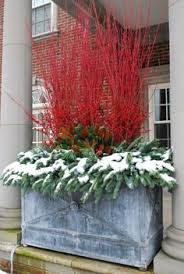Find the latest porch group, inc. 91 Best Winter Porch Pots Ideas Outdoor Christmas Christmas Decorations Christmas Planters