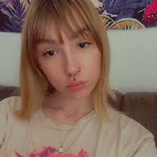 Hungry gray cat found in Traverse City