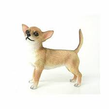 Pequeno Chihuahua Mas Fotos Y Contenido En Https Sweetchihuahua Com Chihuahua Leonardo Collection Chihuahua Ornament