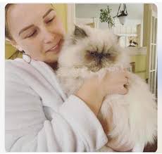 Hello 👋🏻 I would like to see 2026 litters planned from herding and  agility parents. Looking for a female rough coat preferably lilac or red  merle. Anywhere in Europe