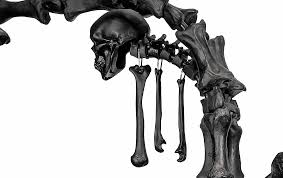 VENEZIA NEWS - OCT-NOV 2022 - 268-269 by Venezia News - Issuu