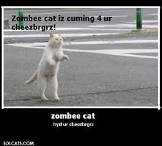 14 funny memes that will leave you on the floor laughing. Caturday Night Zombie Cat Party Cat9catsite