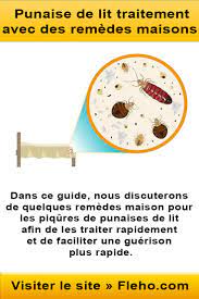 punaise de lit traitement avec des remedes maisons pie chart chart