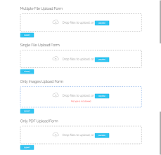 Drop Uploader Drag Drop Javascript File Uploader In 2020 Javascript Web Design Filing