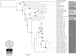 Check spelling or type a new query. Killer Knots Molecular Evolution Of Inhibitor Cystine Knot Toxins In Wandering Spiders Araneae Ctenidae Biorxiv