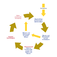 Wenn der stuhlgang trotz allgemeiner maßnahmen wie einer ballaststoffreicheren ernährung und einer erhöhung der trinkmenge länger als vier tage ausbleiben sollte, sollten sie. Verstopfung Stuhlunregelmassigkeiten Zertifiziertes Kompetenzzentrum Fur Chirurgische Koloproktologie