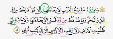 Surat al an'am tidak diturunkan secara beransur ansur seperti surat surat lainnya,namun surat al an'am diturunkan sekaligus. Hukum Tajwid Surah An An Am Ayat 59 Mohon Cepat Dijawab Batasnya Sampe Jam 11 Brainly Co Id