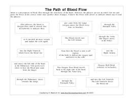 Cut Paste Flowchart On The Path Of Blood Through The Heart