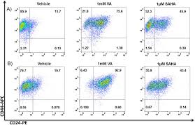 Locally advanced and inflammatory breast cancer. Inflammatory Breast Cancer A Model For Investigating Cluster Based Dissemination Biorxiv