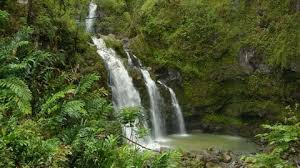 Book today on the official viator site. Hana Highway Stock Video Footage 4k And Hd Video Clips Shutterstock