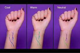 Finding Your Skins Undertone Foundation Colors Skin Undertones Colors For Skin Tone