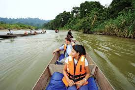 Read our travel guide focusing on things to do in taman negara, and we also share with you practical information on how to get to the park, when to visit, what to pack, where to stay, and whether it is better to travel there independently or with a guide. 10 Best Things To Do In Taman Negara With Photos Touropia