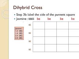 Facsimile or regulatory laws can lead to suing a person based on a violation of evidence. Dihybrid Cross Ppt Download