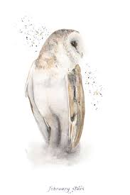 Barn Owl Watercolour Print February Stars Owl Watercolor Star Art Watercolor Art Prints