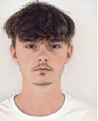 Barn assault defendant pleads guilty