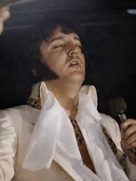 On August 16, 1977, the world stood still when news spread that Elvis Presley had passed away at just 42 years old. At Graceland, the home he loved so deeply, a life