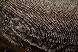 Maybe you would like to learn more about one of these? Komodo Dragon Varanus Komodoensis Skin Texture Stock Photo Picture And Royalty Free Image Image 59026423