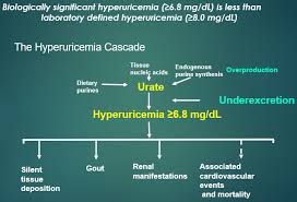 Image result for Hyperuricemia
