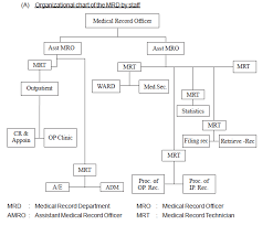 patient records purpledocs best emr and patient