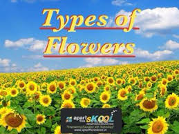 Types of flowers with pictures for kids. Types Of Flowers Free Activities Online For Kids In 3rd Grade By Apart From Skool