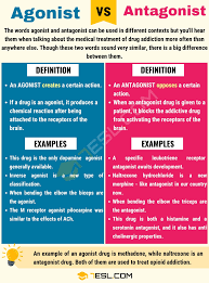 Think something is probably true; Pin On English Vocabulary