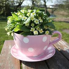 Hello There Teacup Flowerpot Won T You Please Join Me In My Garden Teacup Gardens Tea Cup Planter Mini Garden