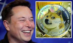 Musk mentioned dogecoin in his opening monologue and on weekend update, snl's satirical news show. Kxupiel3wcydgm