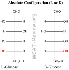 All D Sugars Have Hydroxide Of Highest Chiral Center On The Right While L Sugars Have It On The Left The Aldehyde Cho Or Ketone In 2020 Mcat Mcat Prep D Glucose