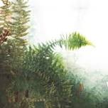 Painting Plants, with Plants: Plein Air