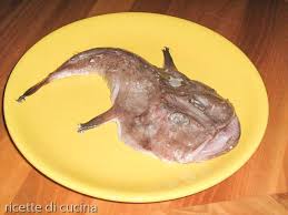 We did not find results for: Pescatrice Caratteristiche Come Cucinare Ricette Di Cucina