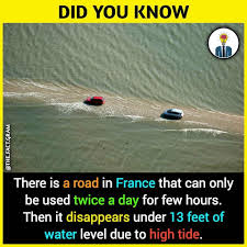World fun facts - World fun facts added a new photo — in...