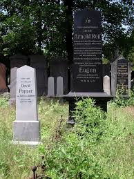 Popper grave in its setting next to huge Reif {from Butsch…