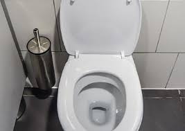 Detartrer Les Wc Toilettes Propres Detartrer Detartrer Wc