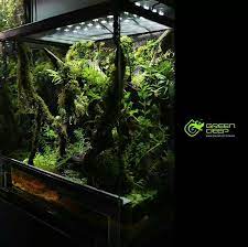 Pin By Axel On House And Home Vivarium Frog Terrarium Reptile Terrarium