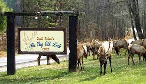 To reach the public viewing area, start at the benezette hotel and travel north along winslow hill road 3.5 miles. Big Elk Lick Horse Campground Visit Pa Great Outdoors