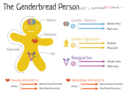 Download and use 1,000+ non binary stock photos for free. Update Trans And Non Binary Talk Conversation Training Funding Bid Lgbt Staff Network