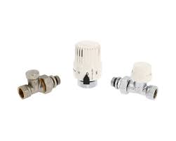 Image result for Stathmostelma pauciflorum