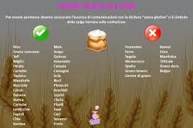 Non solo per la sua versatilità, che la rende perfetta per piatti unici, zuppe, ma anche trasformata in farina o in latte vegetale: Farine Senza Glutine Monica S Kitchen