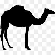 Choose your favorite camel train paintings from millions of available designs. Camel Train Png And Camel Train Transparent Clipart Free Download Cleanpng Kisspng