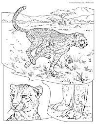 Cheetah Coloring Page Shark Coloring Pages Animal Coloring Pages Coloring Pages