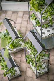 New From Ikea A Hydroponic Countertop Garden Kit Gardenista Hydroponic Gardening Home Hydroponics Garden Kits