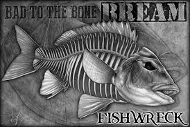 Bream Australian Gamefish Skeleton For My Main Man Paul Shaw From Fishwreck Www Fishwreck Com Au Fishskull Fishskeleton Fishing Fish Risunki Ikonki Shlyapa