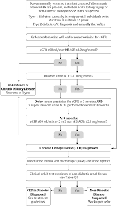Acute kidney disease and renal recovery: Chronic Kidney Disease In Diabetes Canadian Journal Of Diabetes