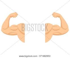 Strong Arms Vector Photo Free Trial Bigstock