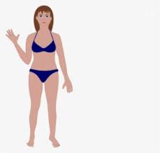 We did not find results for: Cartoon Body Png Images Free Transparent Cartoon Body Download Kindpng