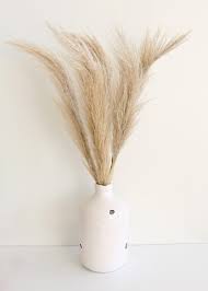 Dried Natural Pampas Grass 5 Stems Per Bundle Pampas Grass Pampas Grass Decor Grass Decor