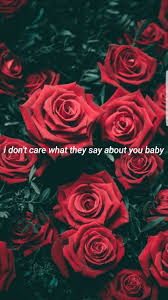 Daniel seavey wallpapers cold in l.a wallpapers why don't we. Lyrics Shawn And Wallpaper Image Red Roses We Heart 1697318 Hd Wallpaper Backgrounds Download