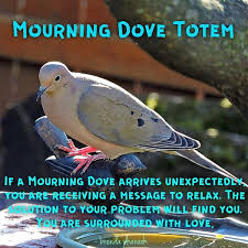 Birds Outside My Window Meaning Mourning Dove Totem By Sacredhealthjewelry Animal Spirit Guides Spiritual Animal Mourning Dove