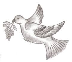 Pencil Bird In Flight Drawing Nature Bird Drawings Pencil Drawings Of Nature Bird Sketch